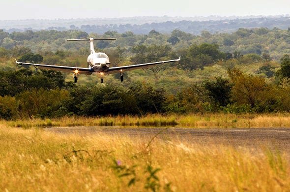 8 Days Drive in & Fly-Out to Serengeti Mid-Range Safari