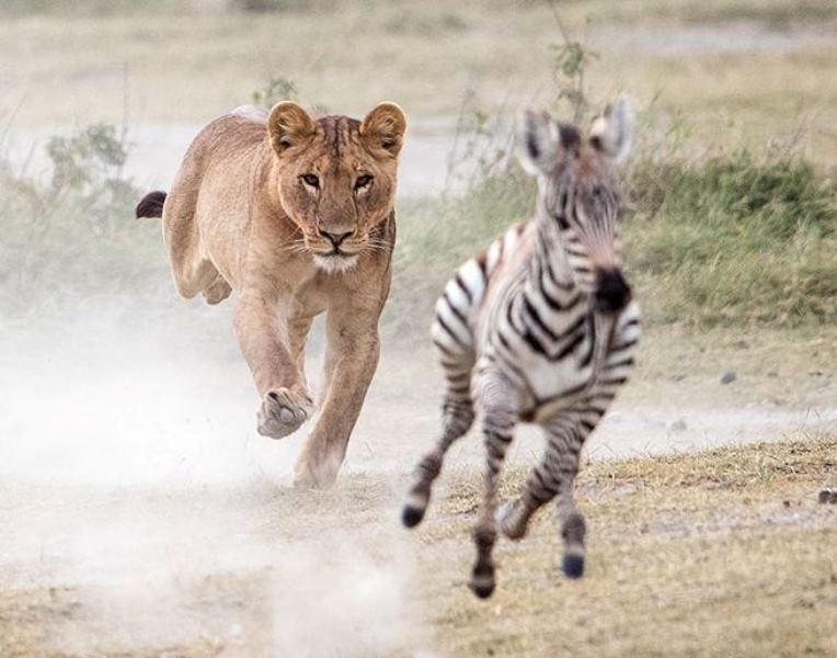 When to Visit Serengeti