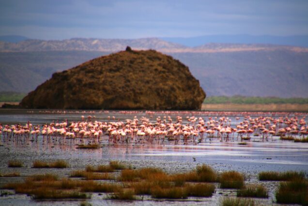 3 Days Ol Donyo Lengai Trek (Natron) & Lake Eyasi Culture