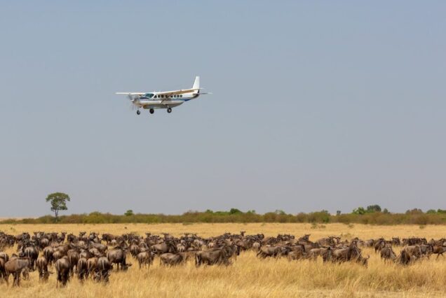 6 Day Luxury Fly-In  to Mara River Crossing Safari