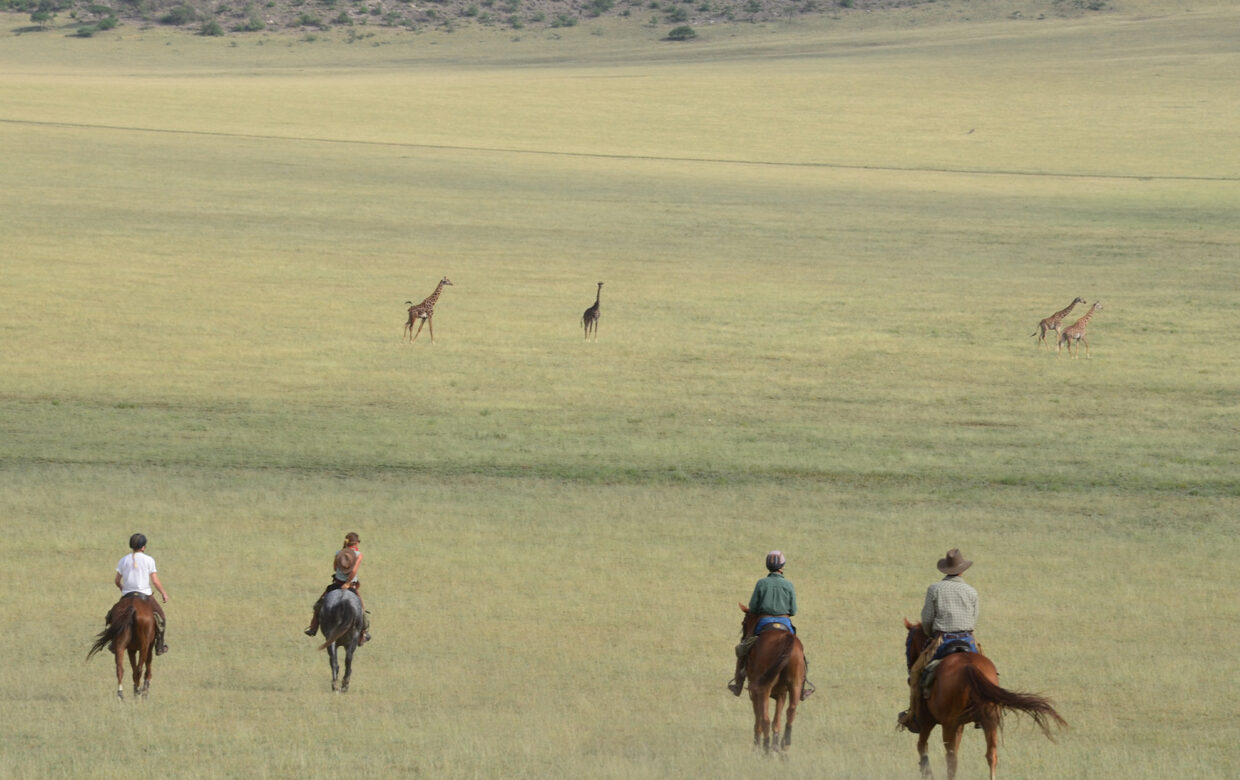 Horse Riding in Tanzania
