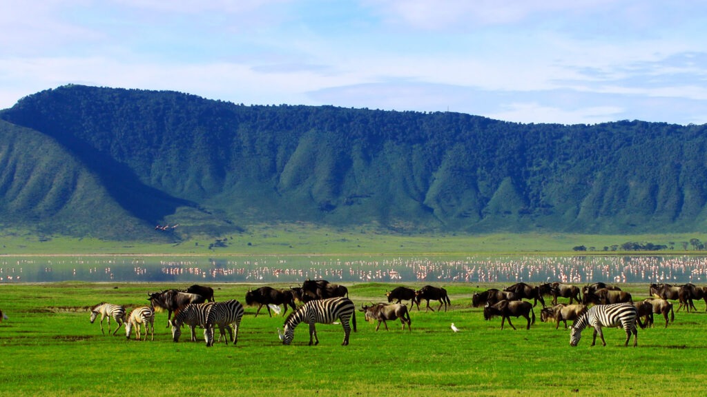 Why to Visit Ngorongoro Crater