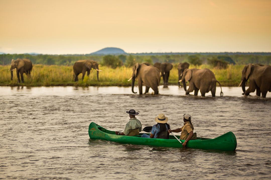 Canoeing Safaris